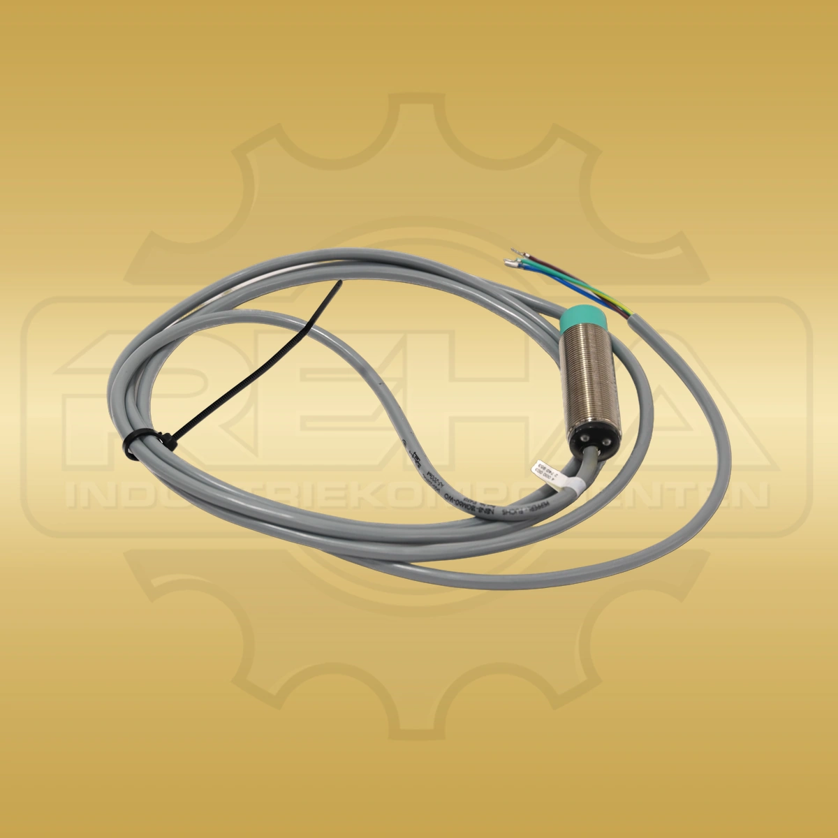 Pepperl+Fuchs NBN8-18GM60-WO