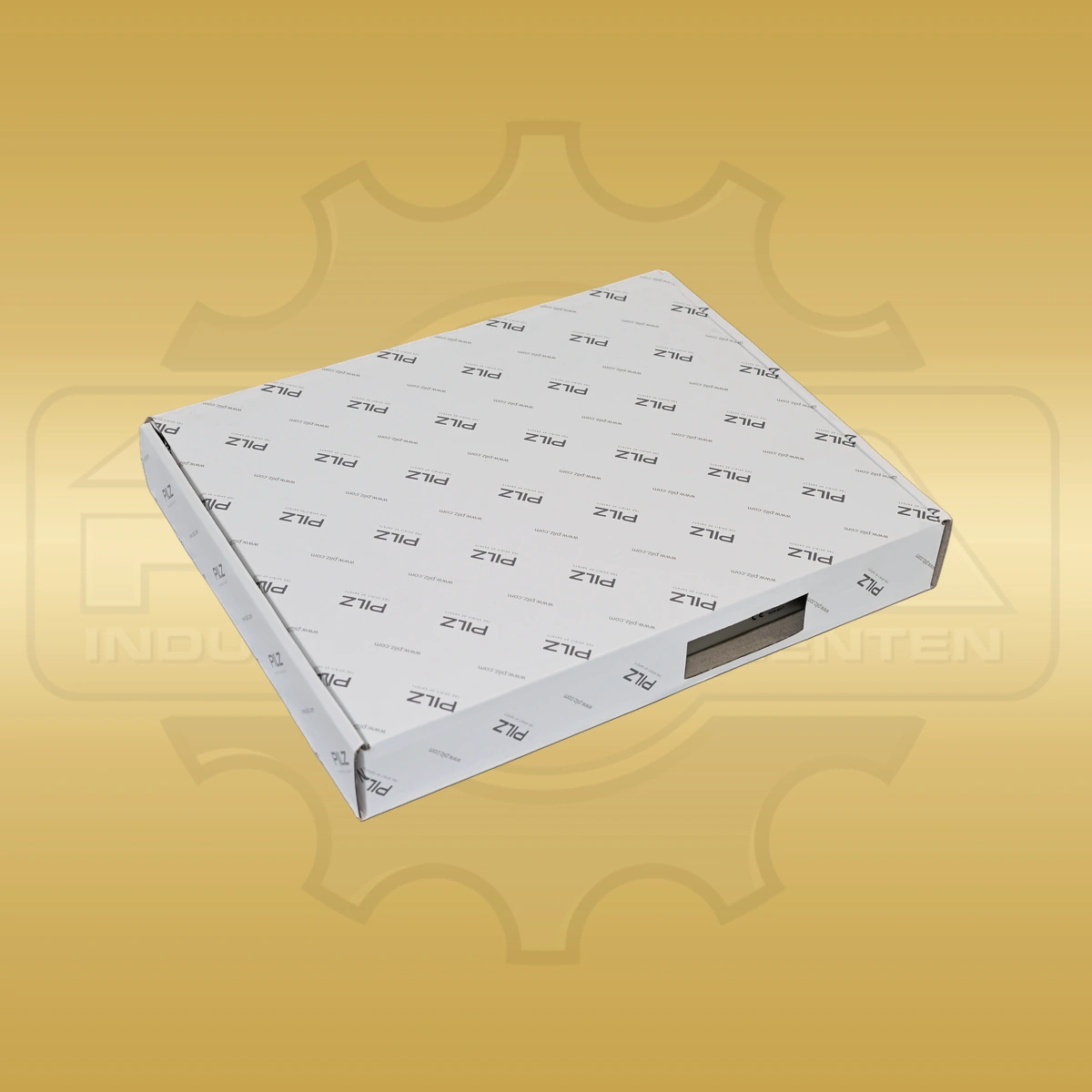 Pilz 304100