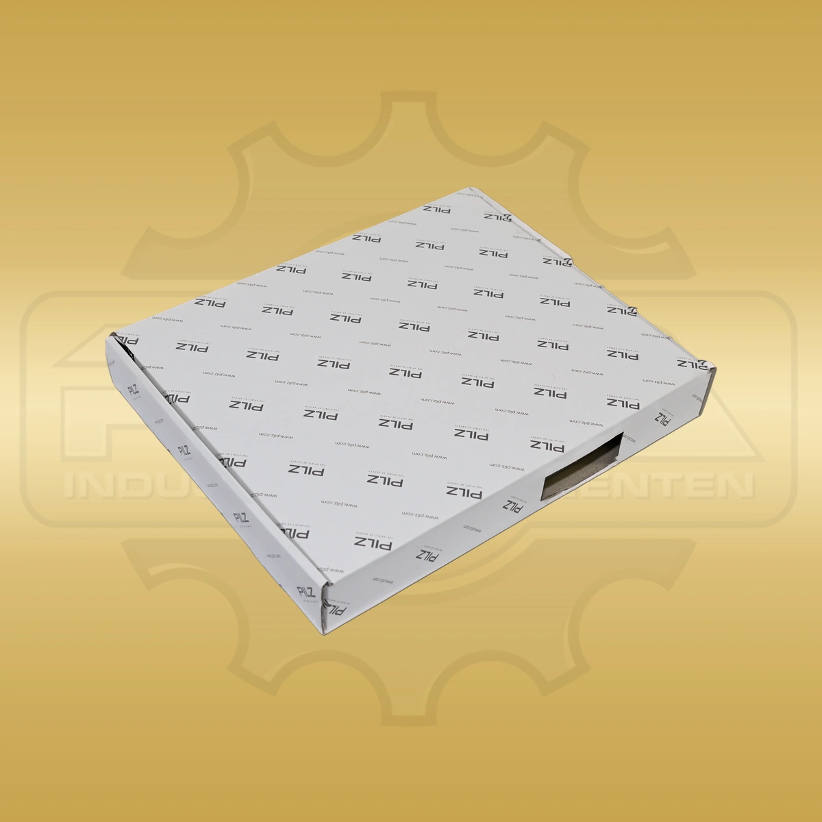 Pilz 304120